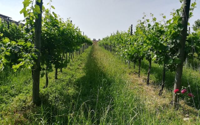 Agriturismo Le Crede 1930
