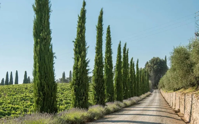 Dievole Wine Resort