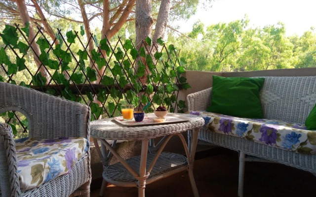 Green House - Woods And Beaches - Sardinia