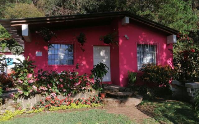 Pink house