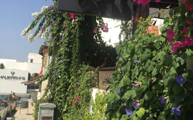 Pasha Motel