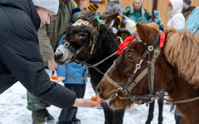 Дом на лесной опушке