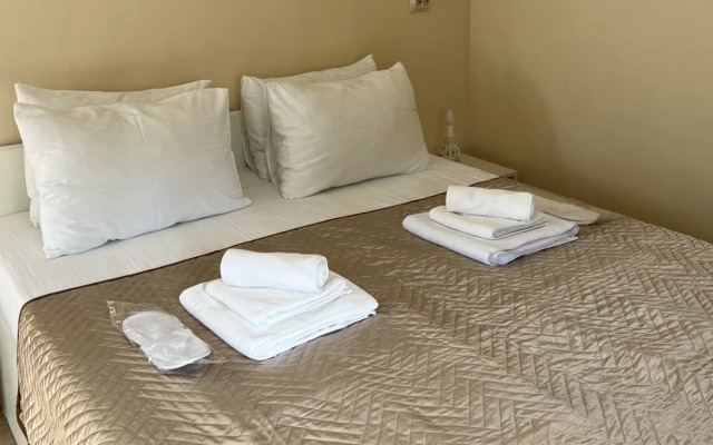 Дельфин-море (Сухум)