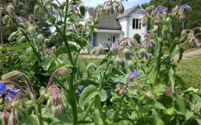 The Rustic House of the Fjord