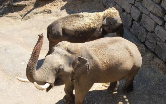 Hotel Selwo Lodge - Animal Park Tickets Included