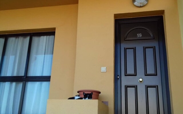 Beachfront House in Playa de Arinaga