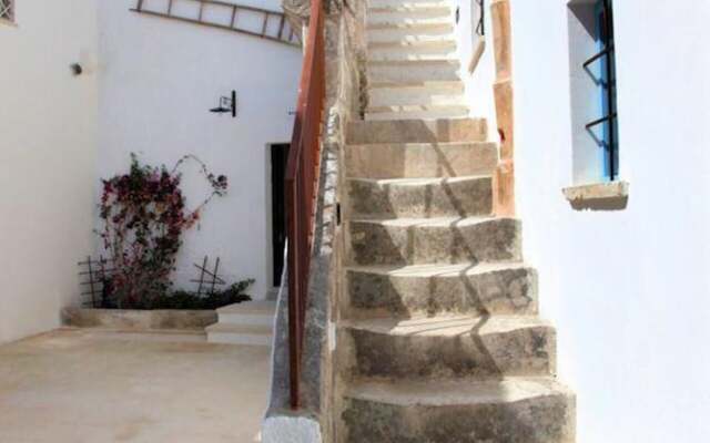 The Courtyard - Lilly