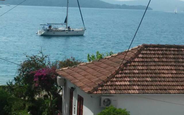 The Beach House