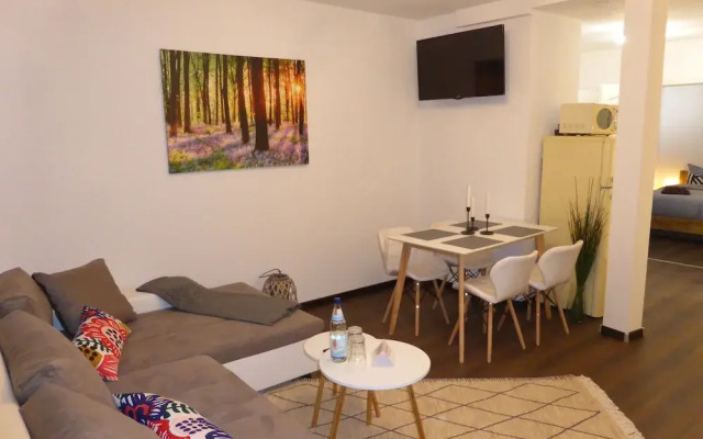 Apartment Goethe