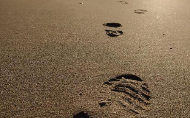 Apartment on The Beach Front with Free WIFI and Air Conditioning