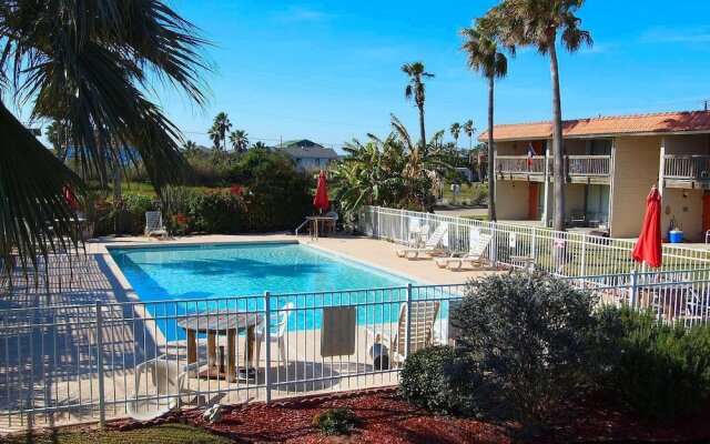 Pearl Marlin 205 by RedAwning