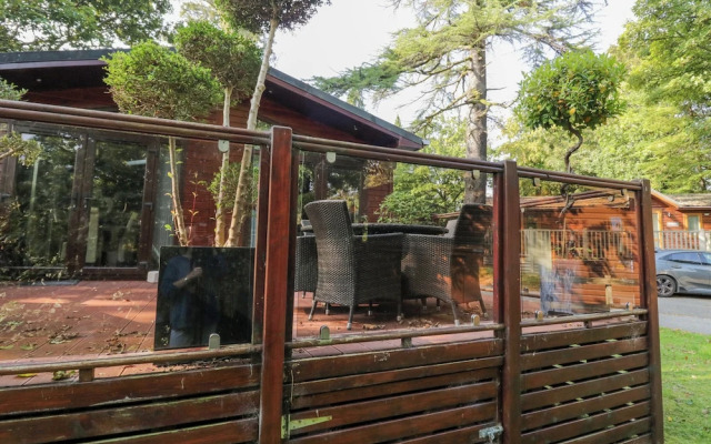 Tree House, Partial Lake Views