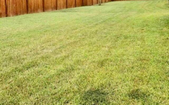 Trinity One Apartments - Country Luxury