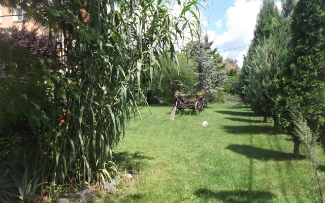 Pensiunea Raze De Soare