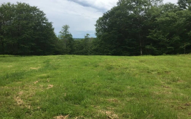 Tentrr - Hummingbird Haven