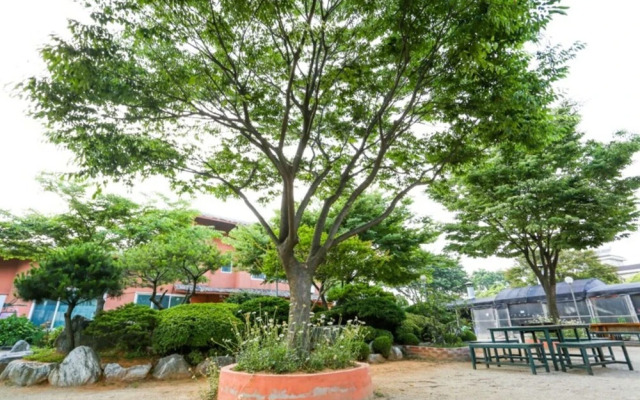 Daebudo Firefly Pension