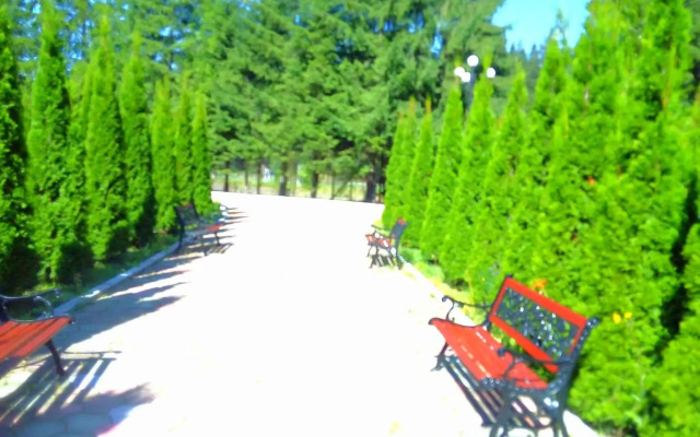 Miraj Poiana Brasov