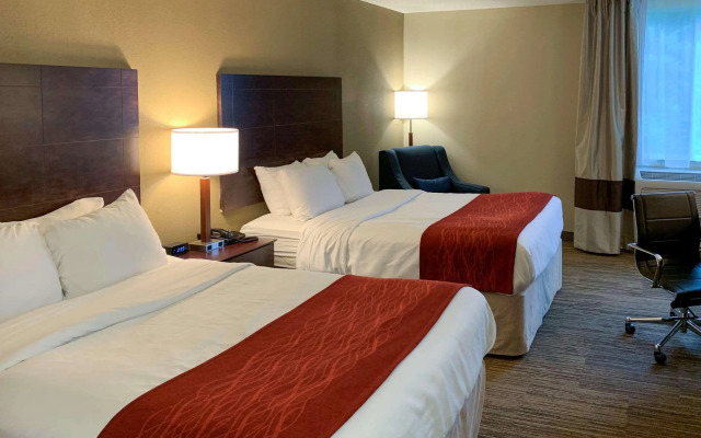 Comfort Inn & Suites East Hartford - Hartford