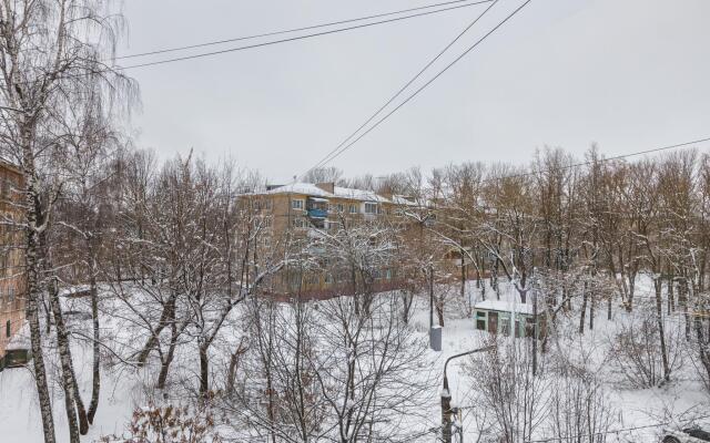 Tolstoy Apart on Odoevskoe highway