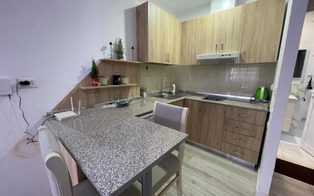 Downtown Modern Studio Apartment