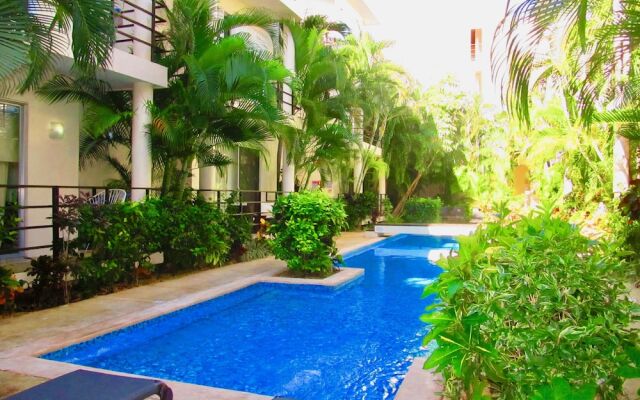 Aqua Terra Palm by Playa Paradise