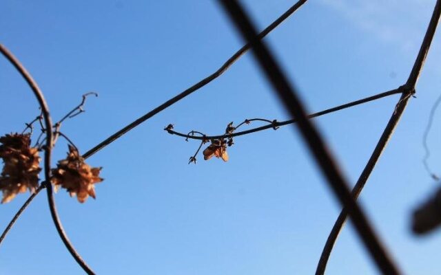 La Ferme de Chere Vie