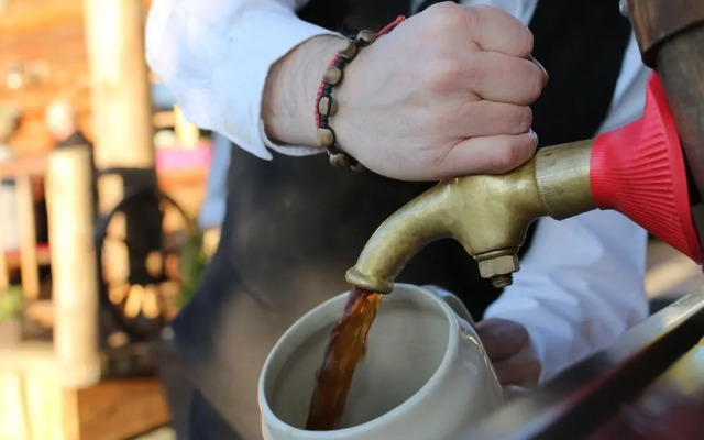 Almhotel Pinter Superior