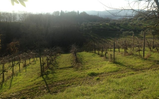 Podere San Lorenzo