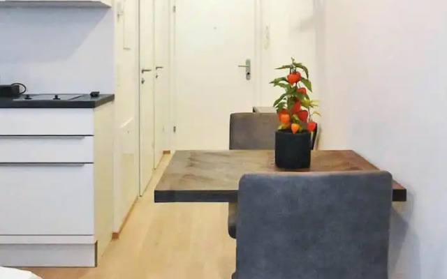 easy flat Hyrtlgasse