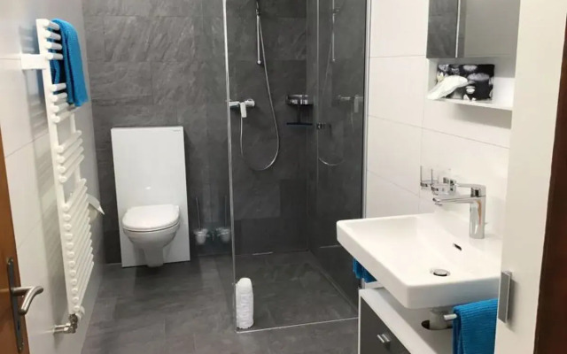 Apartment Adler Saas-Fee 20561