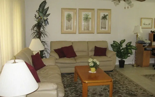 Palm Tree by 123cape VR