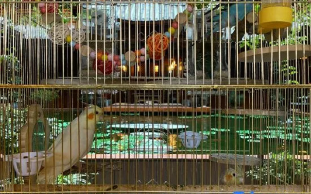 Spirited Silky Inn