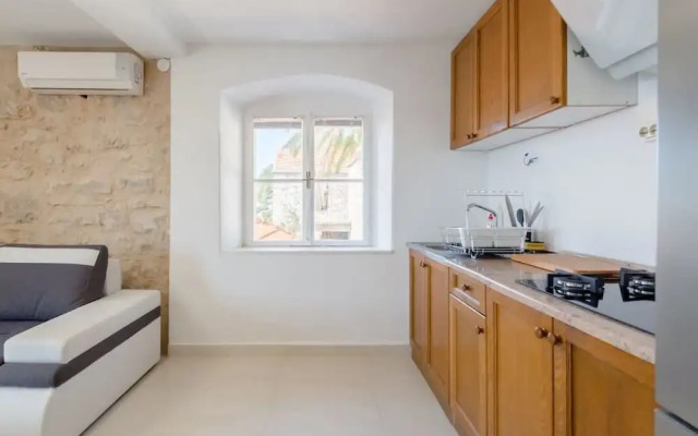 Luxury Apartment Ladovina