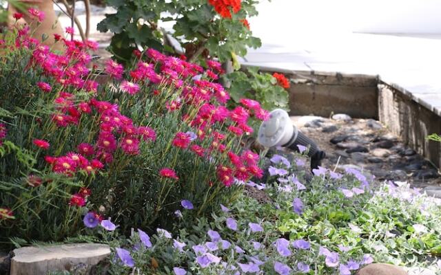 Spiros & Hiroko Hotel - Adults Only