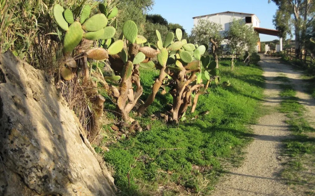 L Agave e la Palma Nana