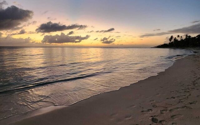 Saona Lodge