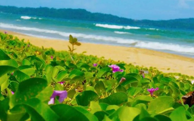 JuRiSu Resort