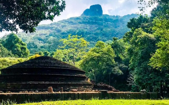 The Rock View Homestay Sigiriya