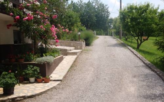 Guest house Jandric