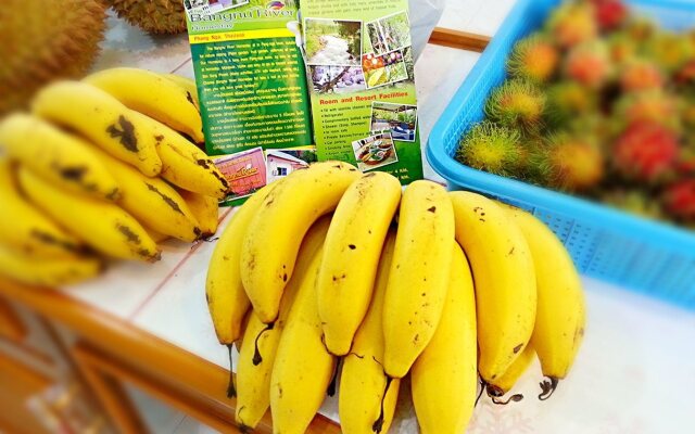 Bangnu River Homestay