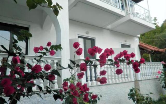 Aktipis Studios