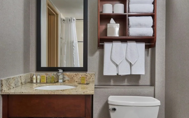 Holiday Inn Raleigh (Crabtree Valley Mall)