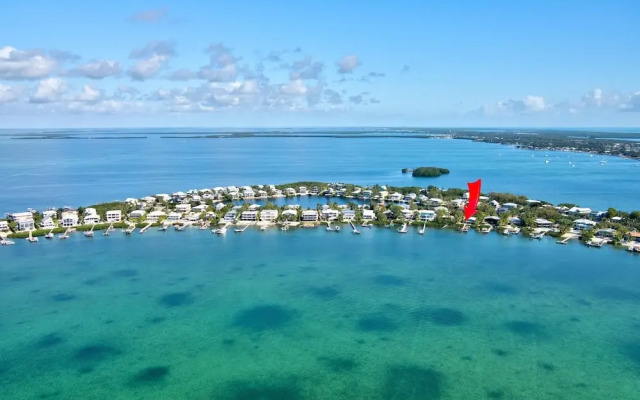 Lime Key in Key Largo