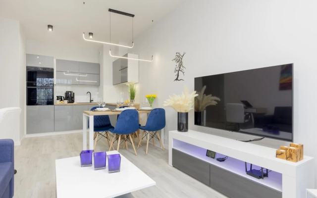 Dark Blue and Grey Apartment by Renters