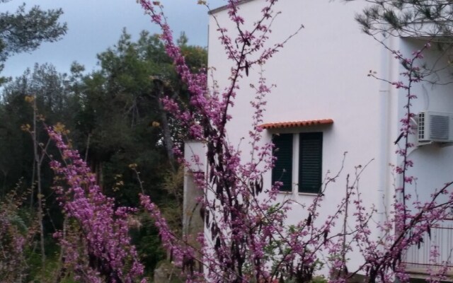 Casa di Maria