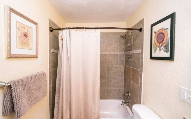 Artisan Victorian Spacious Backyard Great Location