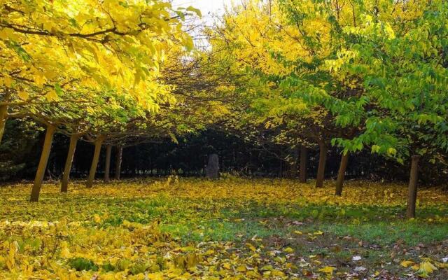 Hotel Rural 26 Labrador Adults only