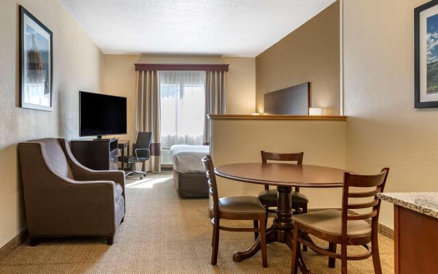 Comfort Inn And Suites Paw Paw