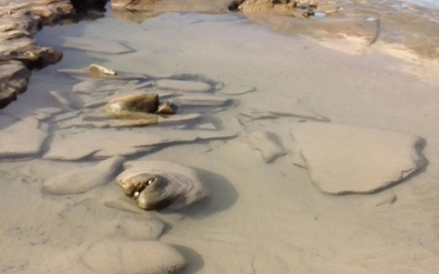 Surfside Getaway In Picturesque Inverloch