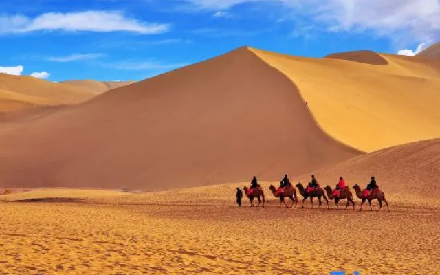 Zhongwei Shapo Tou Desert Wilderness Desert Stargazing Inn